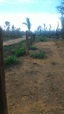 Terra Boa para criação de gado - Foto 2