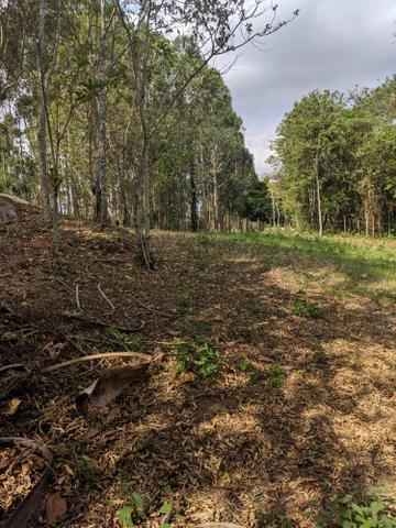 Lotes em Itapevi com mil metros - Foto 7
