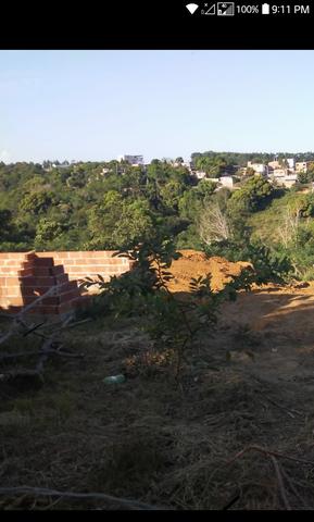 Lotão - Foto 2