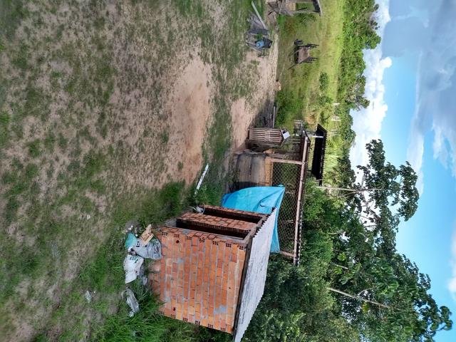 Terreno em Santa Rosa - Foto 4