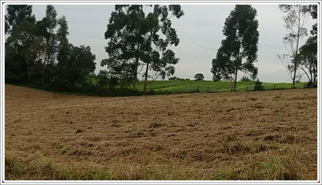 Terreno de 1000m² próximo de Tatuape - Foto 3