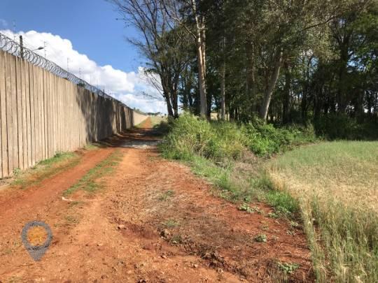 Alugue sítio de 48400 m² (esperança, londrina-pr) - Foto 7