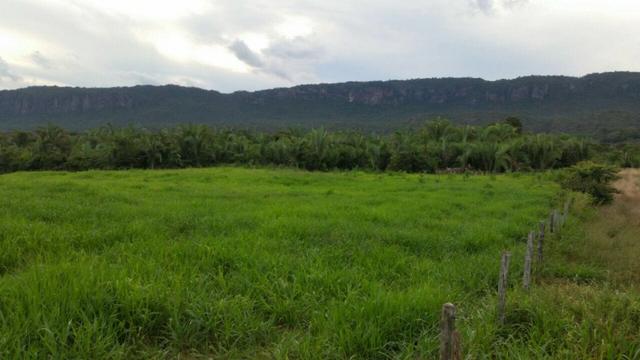 Fazenda em Rosario Oeste - 457ha