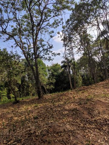 Lotes em Itapevi com mil metros - Foto 4
