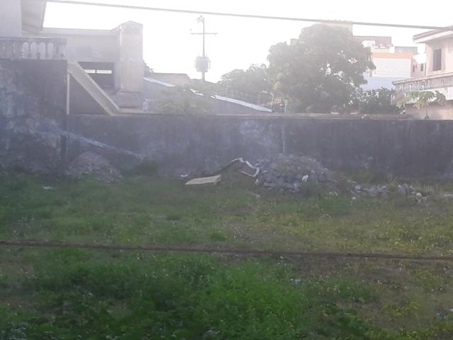 Terreno de esquina Comercial/Residencial med. 1420 m2 na Coroa do Meio - Foto 9