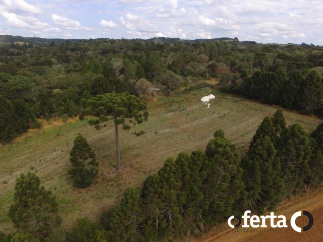 Casa à venda com 1 dormitórios em Carqueja, Lapa cod:540 - Foto 15