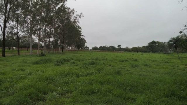 Conjunto de Fazendas Santa Maria - 1.262,5400 ha - Foto 9