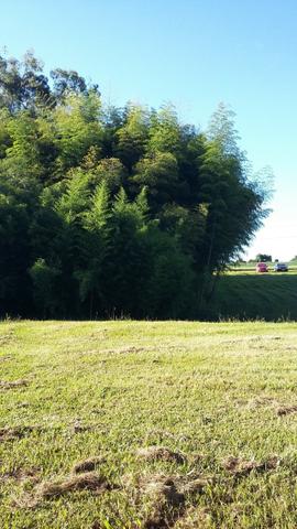 Terreno Rural para venda em Condomínio Fechado em Araucária - Foto 7