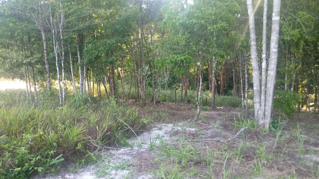 Terreno/ chácara- castanhal-PA - Foto 3