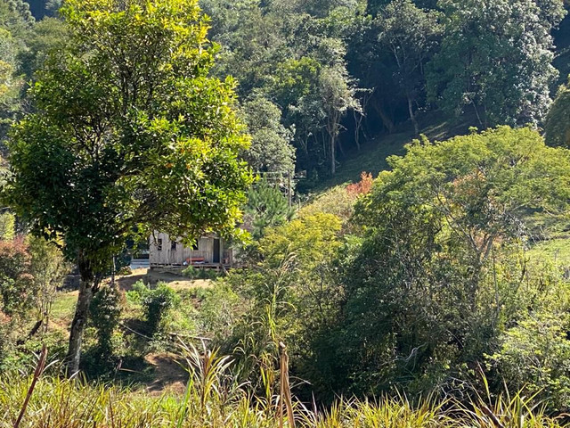 Linsa Chácara em Castro PR - Foto 4