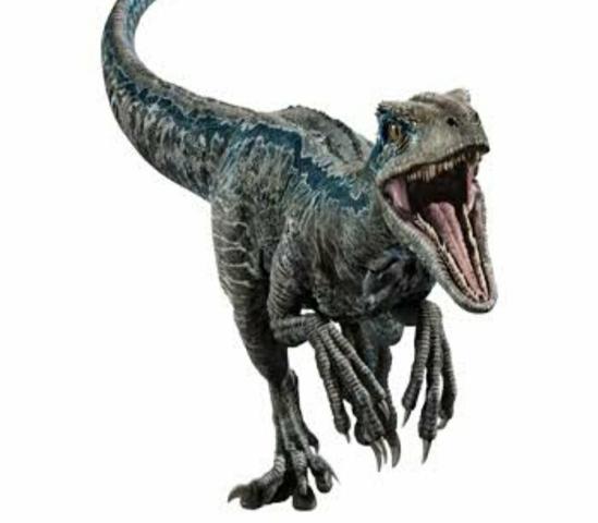 Cabeça de Velociraptor - Foto 5