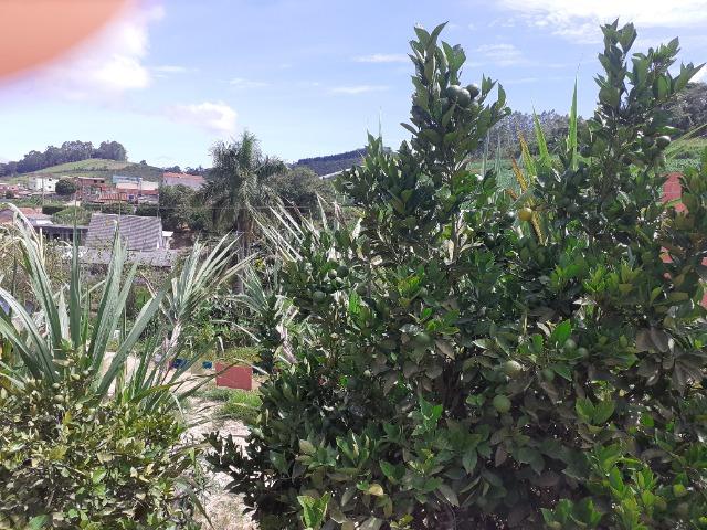 Casa em Alto Caxixe V.Nova do Imigrante Vendo ou troco em Domingos martins - Foto 4