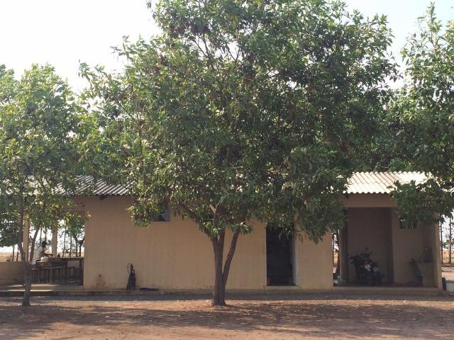 Fazenda em Uruçui Piauí - Foto 14