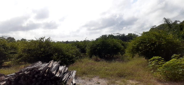 Vende - se terreno - Foto 4