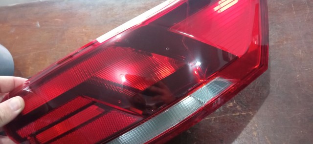 Lanterna virtus  - Foto 3