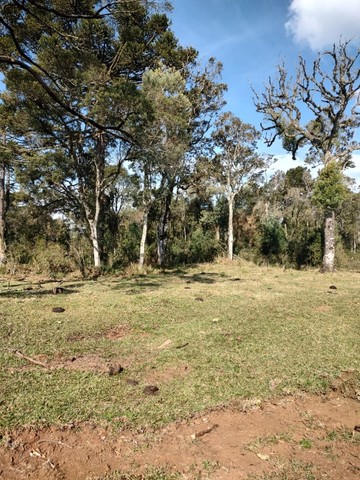 Chácara de 2 hectares à venda - Foto 2
