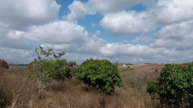 Ótima propriedade, escriturada, de 6 hectares, rica em frutas, em Glória do Goitá-PE - Foto 3