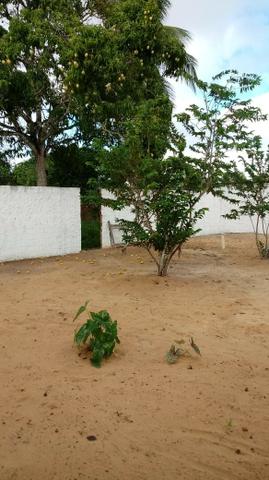 Excelente Sitio em Alagoinhas-BA - Foto 13