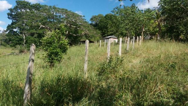 Cidade ilhéus região Japu, Sitio 72 hectares