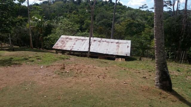 Cidade ilhéus região Japu, Sitio 72 hectares - Foto 12
