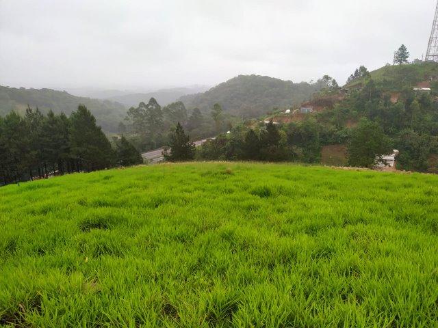 Terreno 40.000m2 em Juquitiba/SP para loteamento - Foto 17