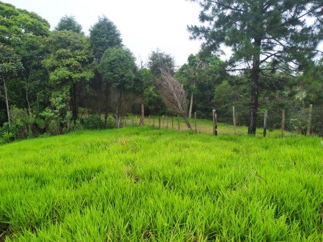Terreno 40.000m2 em Juquitiba/SP para loteamento - Foto 7