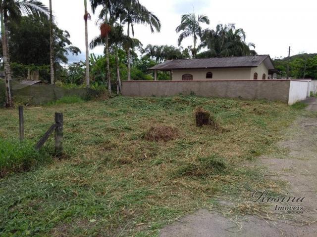 Terreno à venda, 260 m² por R$ 40.000 - Sítio do Campo - Morretes/PR - Foto 4
