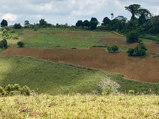 Fazenda em Amargosa-Ba - Foto 7