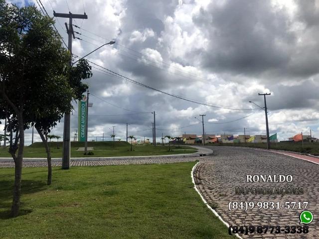 A partir de R$ 245,00 a parcela no Jardim Arvoredo! - Foto 14