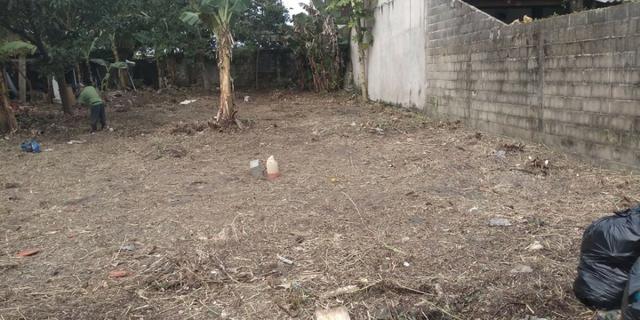 Terreno Cananéia 23 - Foto 3