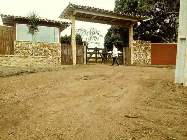 Thay PRÉ LANÇAMENTO!!!! - Foto 5