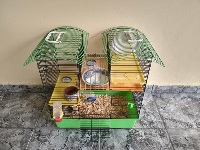 Gaiola Ramster Completa - Foto 5