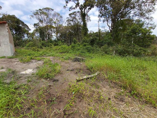 Terreno Itapoá - Foto 3
