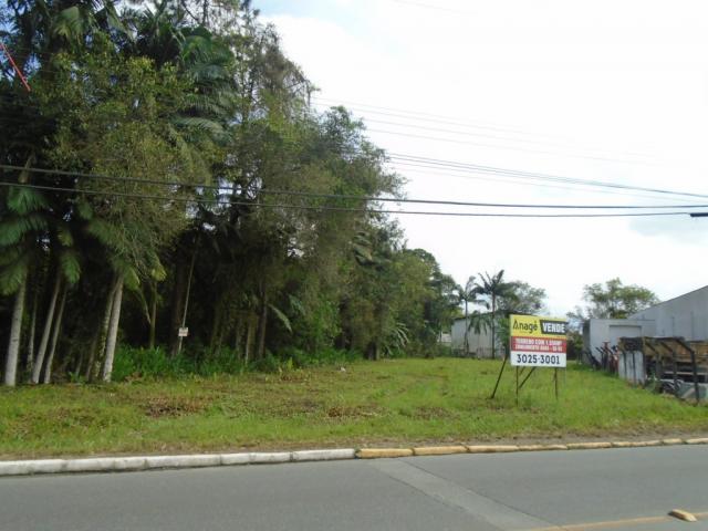 Terreno para alugar em Pirabeiraba, Joinville cod:00444.007 - Foto 14