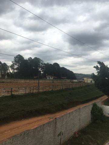 Chácara km 68 castelo branco 1000 M2 - Foto 11