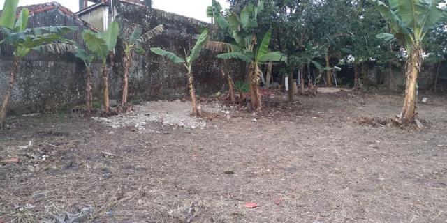 Terreno Cananéia 23 - Foto 5
