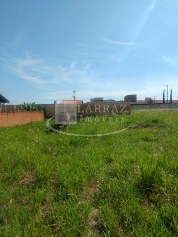 Ótimo terreno para venda em brodowski no condominio santa monica, com 525 m2, plano, de il - Foto 10