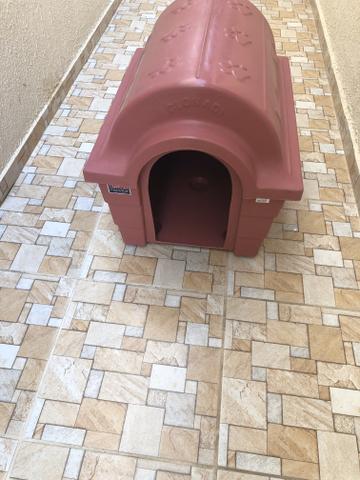 Casinha cachorro - Foto 2