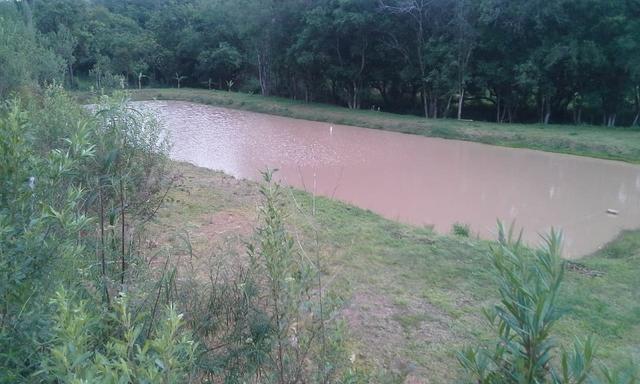 Entrada 30.000 + parc. Torrando terreno pra Chácara com Tanque. 6.000m² Quitandinha-PR - Foto 2