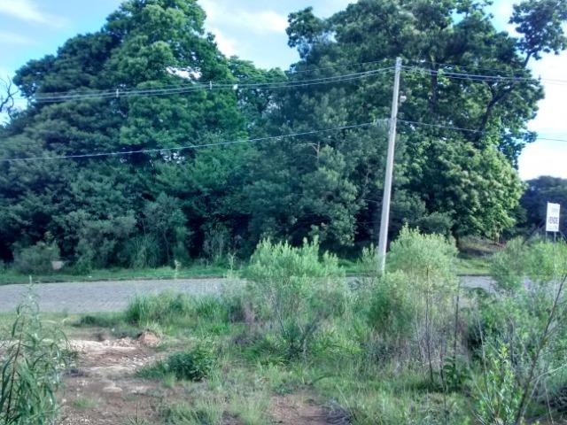 Terenos em ótima localização - Foto 2