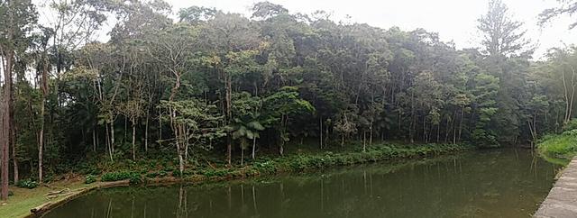 Sitio lindo 127.500m² a apenas 3 km da Rodovia BR 116 Em Juquitiba-SP - Foto 20