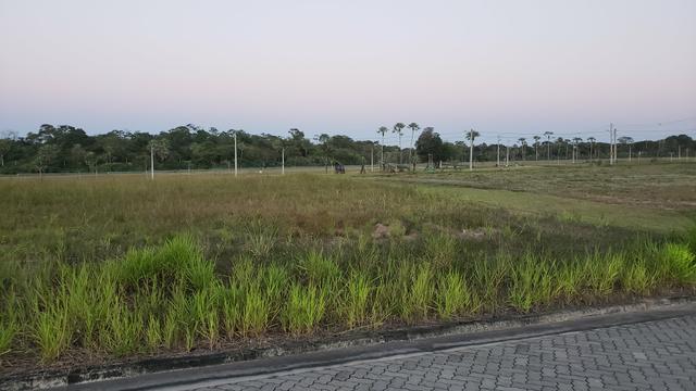 Alphaville terra 2 - 390m2 - LOTE DE ESQUINA - PROPRIETÁRIO - Foto 9