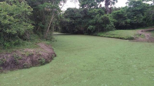Conjunto de Fazendas Santa Maria - 1.262,5400 ha - Foto 13