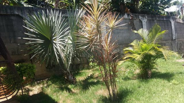 Vende-se casa - Foto 4