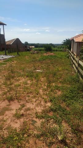 Chácara 2.000 m² Cianorte - PR - Foto 4