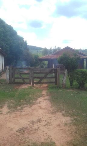 Fazenda Agricultura e Pecuária-Completa Arrendamento - Foto 18
