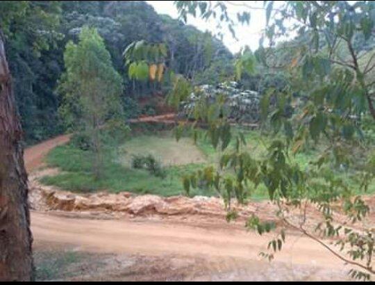 Chácara em Domingos Martins - Foto 4