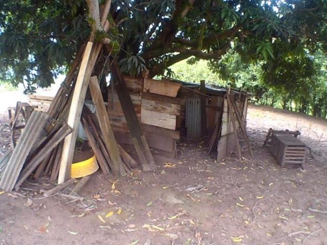 Chácara para alugar em Loteamento edem leste (zona rural), Sao jose do rio preto cod:L632 - Foto 10
