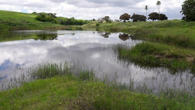 Fazenda com 170 hectares na região de monte alegre - Foto 3