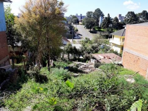 Terreno à venda em Bela vista, Caxias do sul cod:11483 - Foto 3